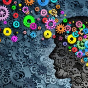 Executive Skills Questionnaire – Revised
